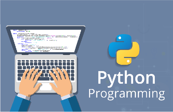 Python Development Services Company